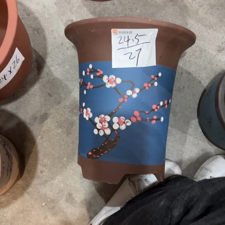 花盆紫砂紫砂的花