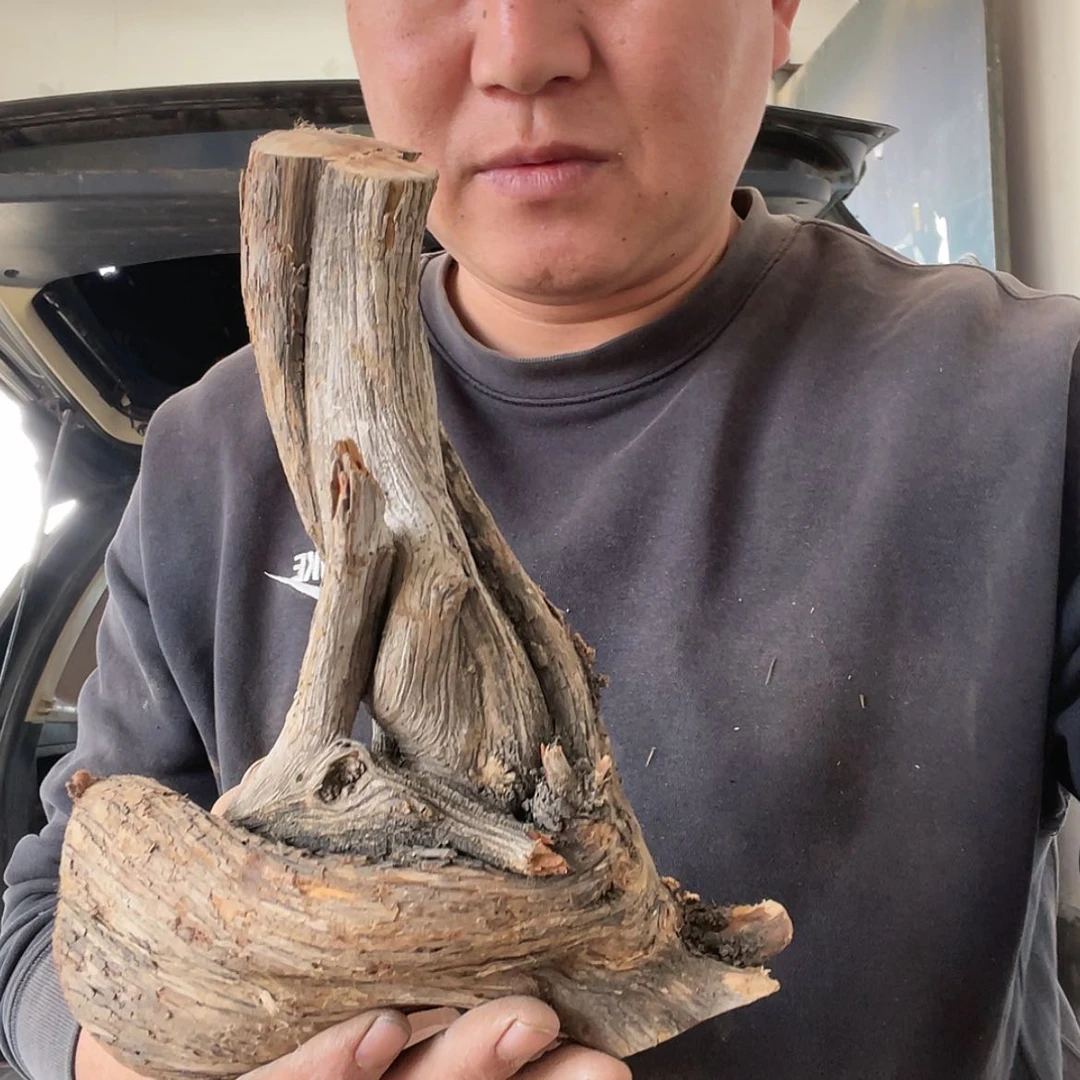 【闪购商品】柏木萍啊啊啊啊啊啊啊啊