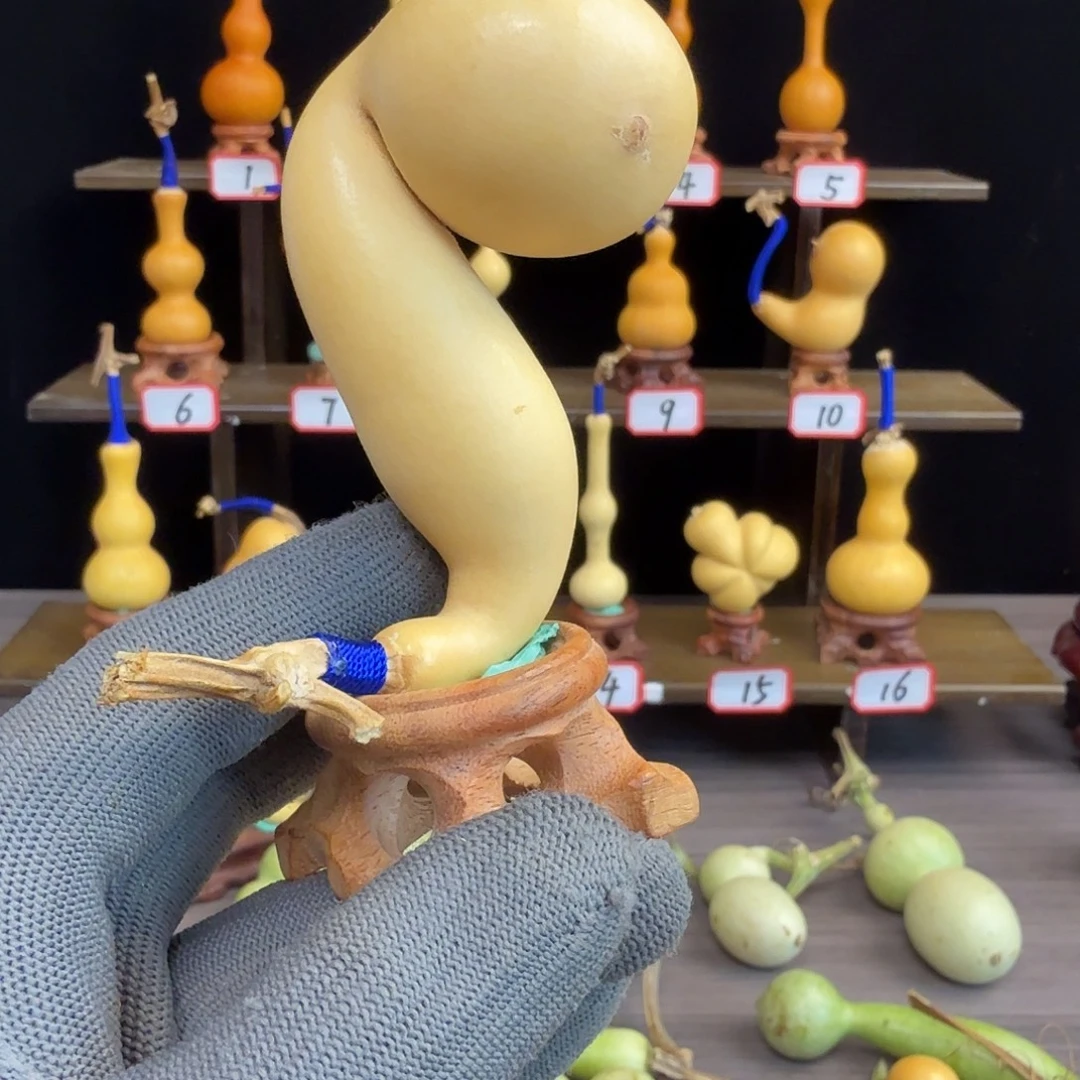 清***摇木远扬工艺葫芦小店