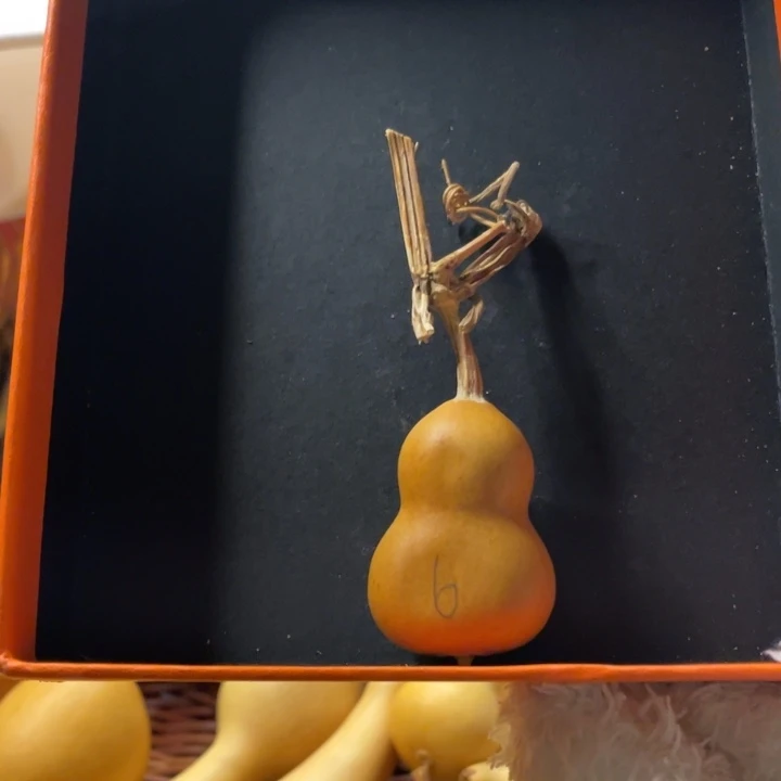 6看好下单默认微瑕不保龙头