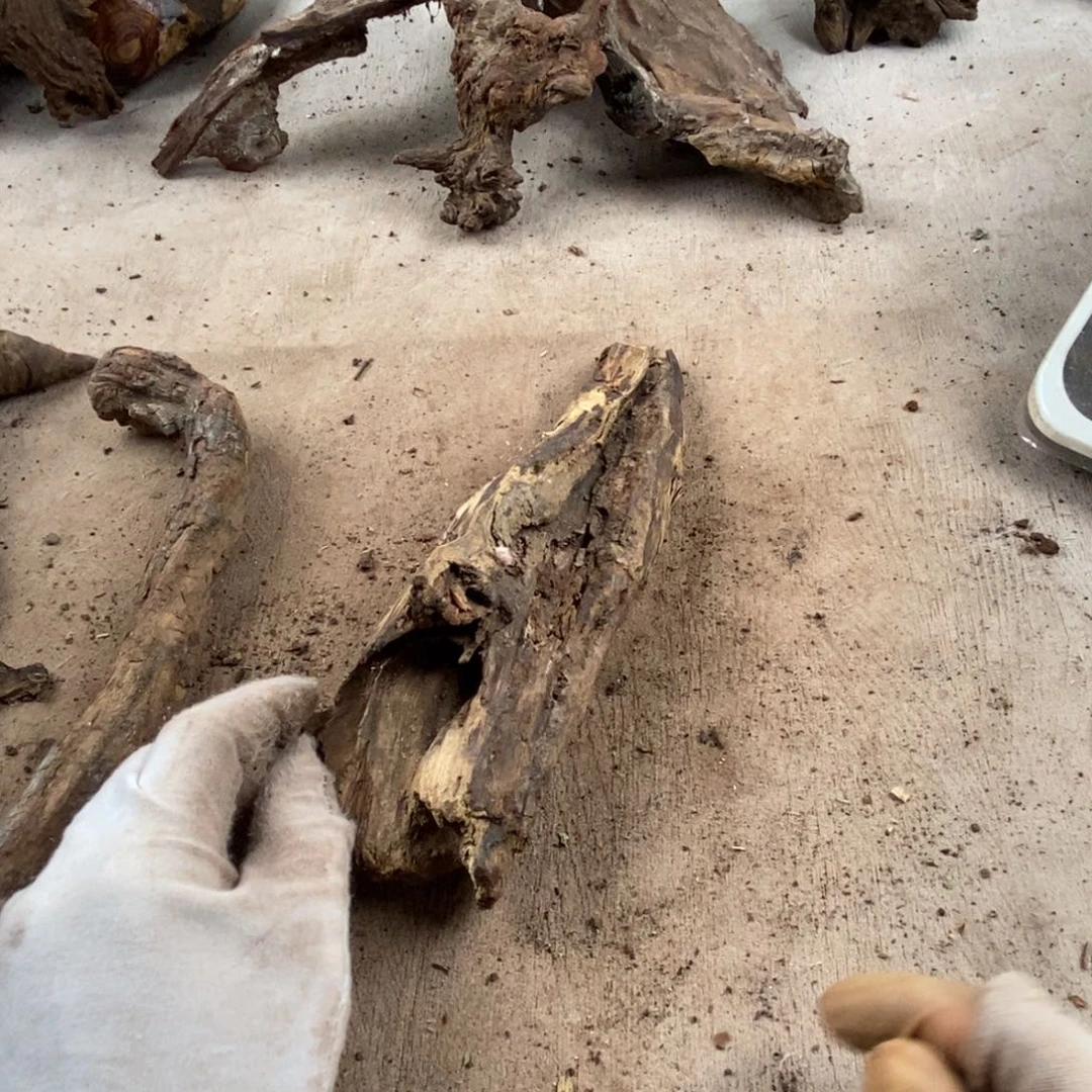 广***鹅黄花梨/降香黄檀降香黄檀黄花梨