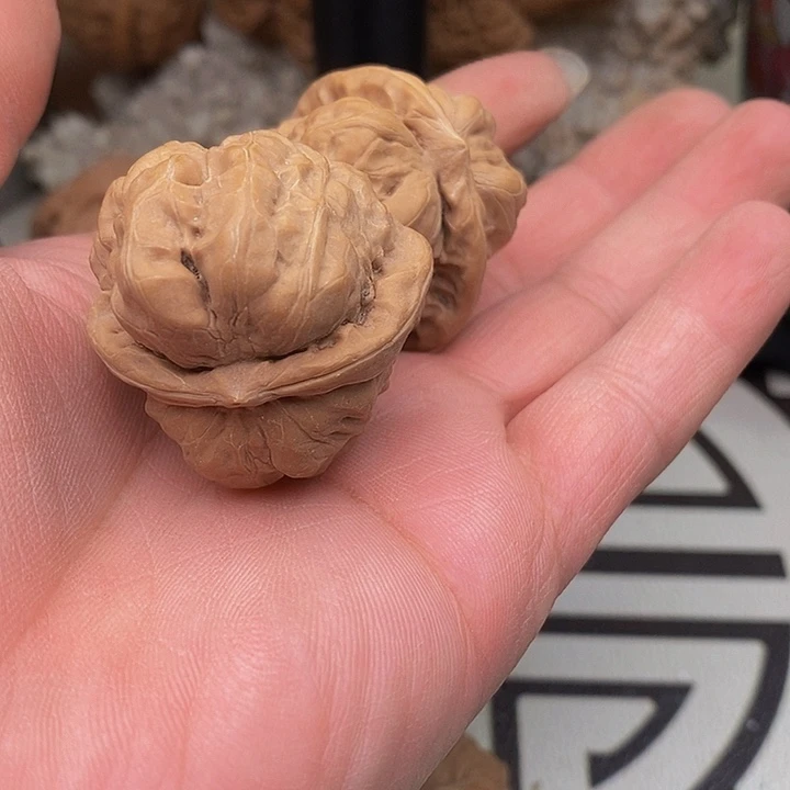 桃核把件像*.蛤蟆头