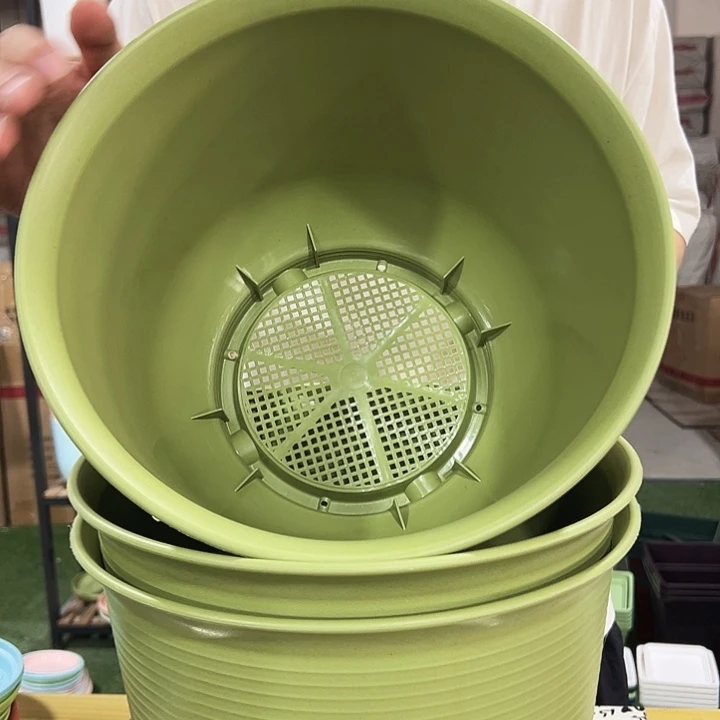 矮陶口30高21果绿无托3只