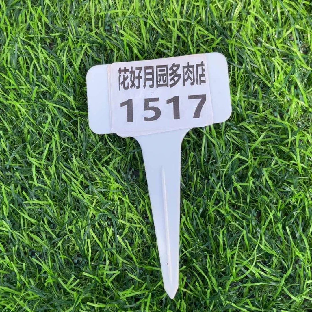 多肉植物1517颗粒土2.8公斤