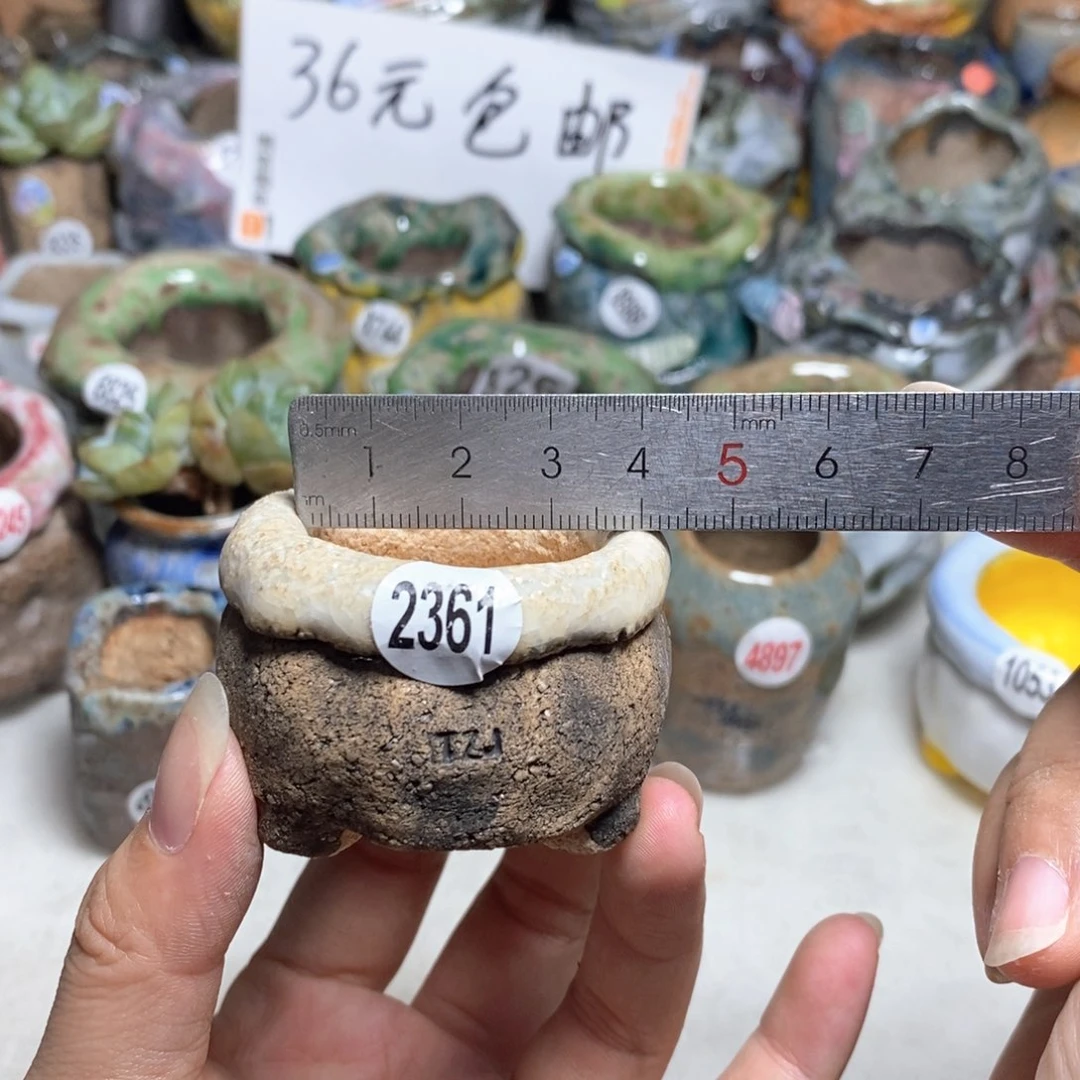 拍3送一个小礼物