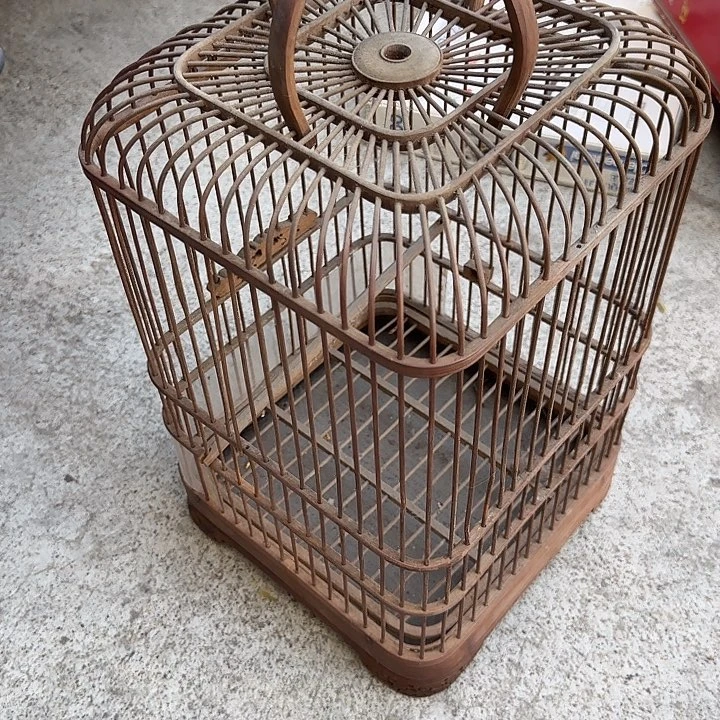 *****扇子ffcfdddgggfffddd