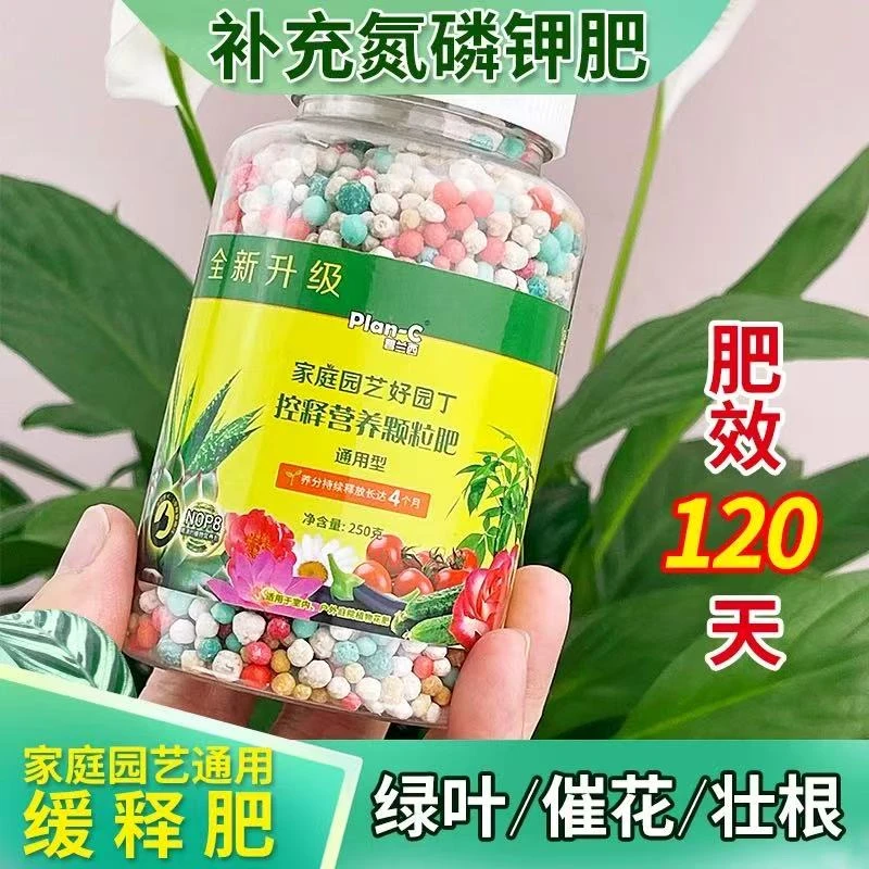 (300克)花卉肥料蔬菜多肉盆栽植物通用控缓释颗粒氮磷钾复合肥