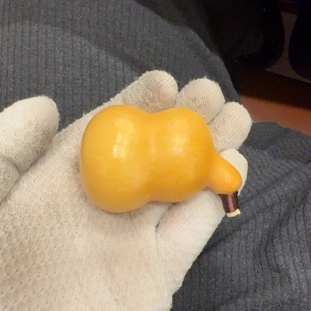 无***常舎得出品精选葫芦SHEDE