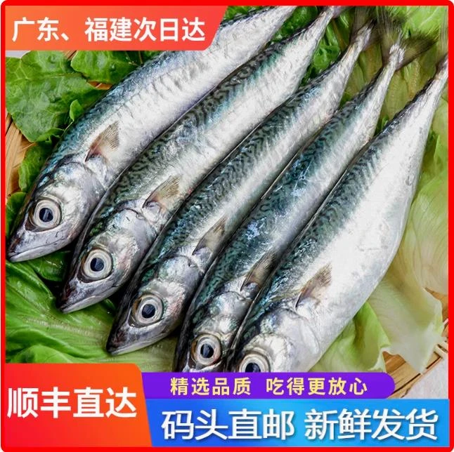 汕尾本港花仙 打冷鱼饭