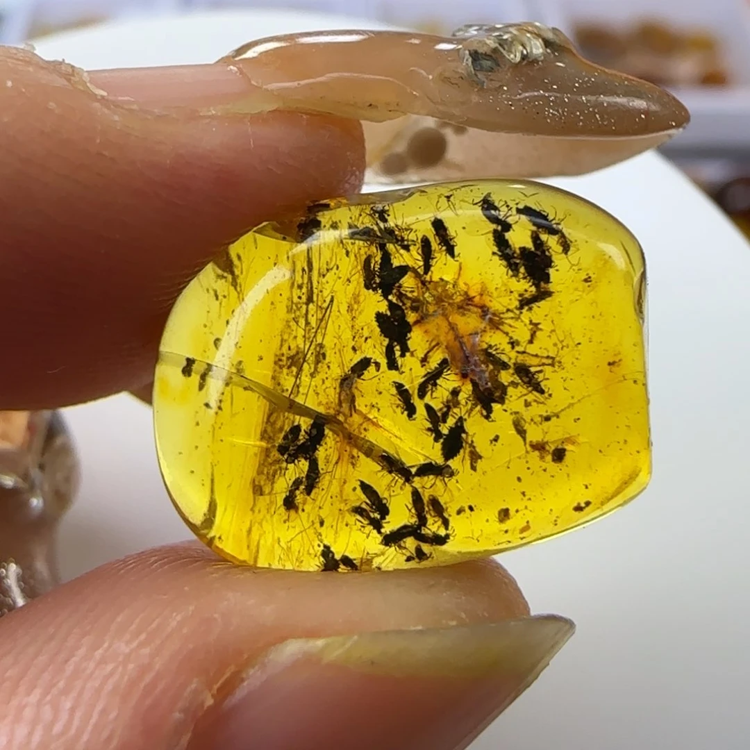 琥珀裸石未镶嵌江****子猫