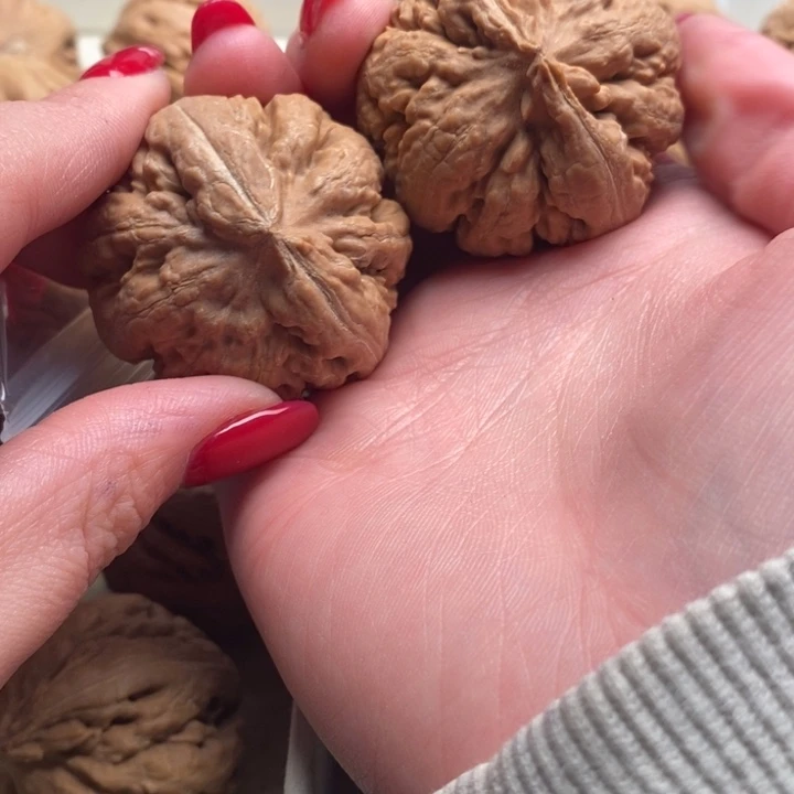 無***）霸王龙全品无修一刀没动