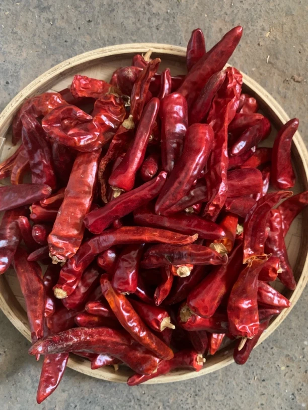 自然风干本地辣椒中辣