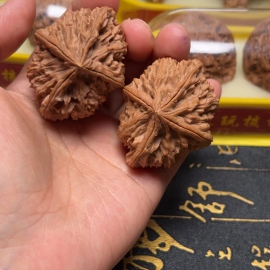 李学超4楞全品无修