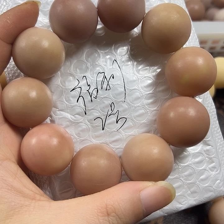 菩提根/象牙果吊坠