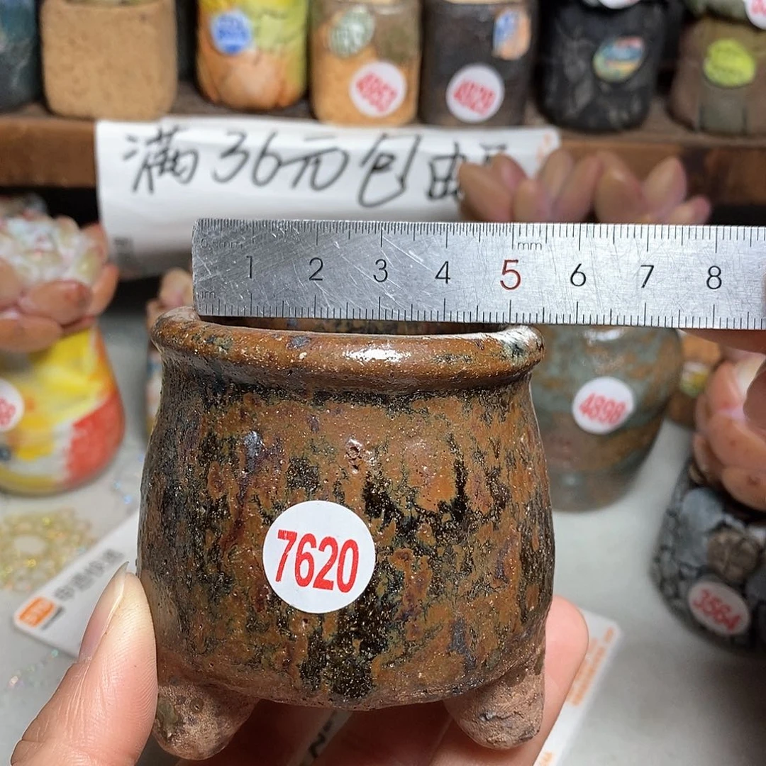 红陶拍5送一个小