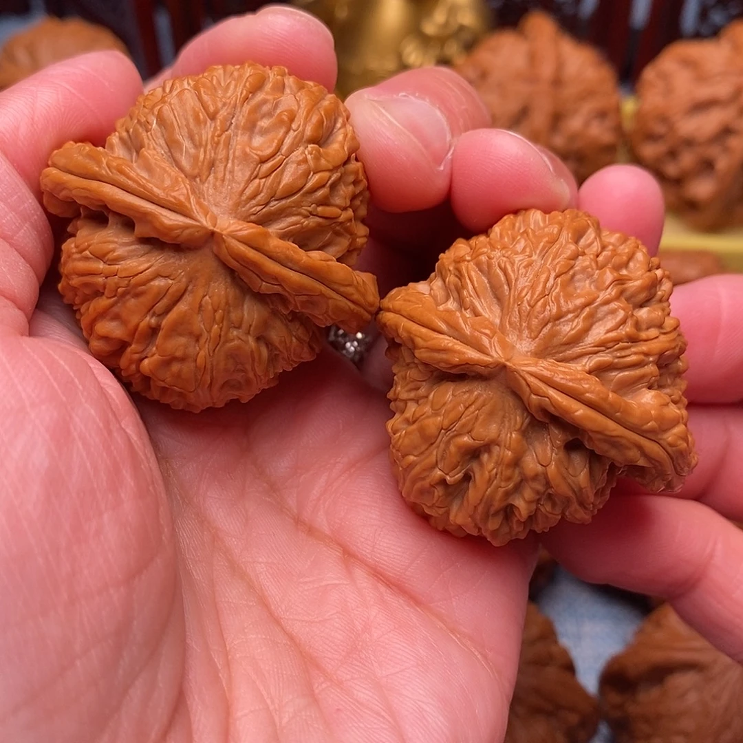 文玩核桃把件全品绝配白狮子40尺