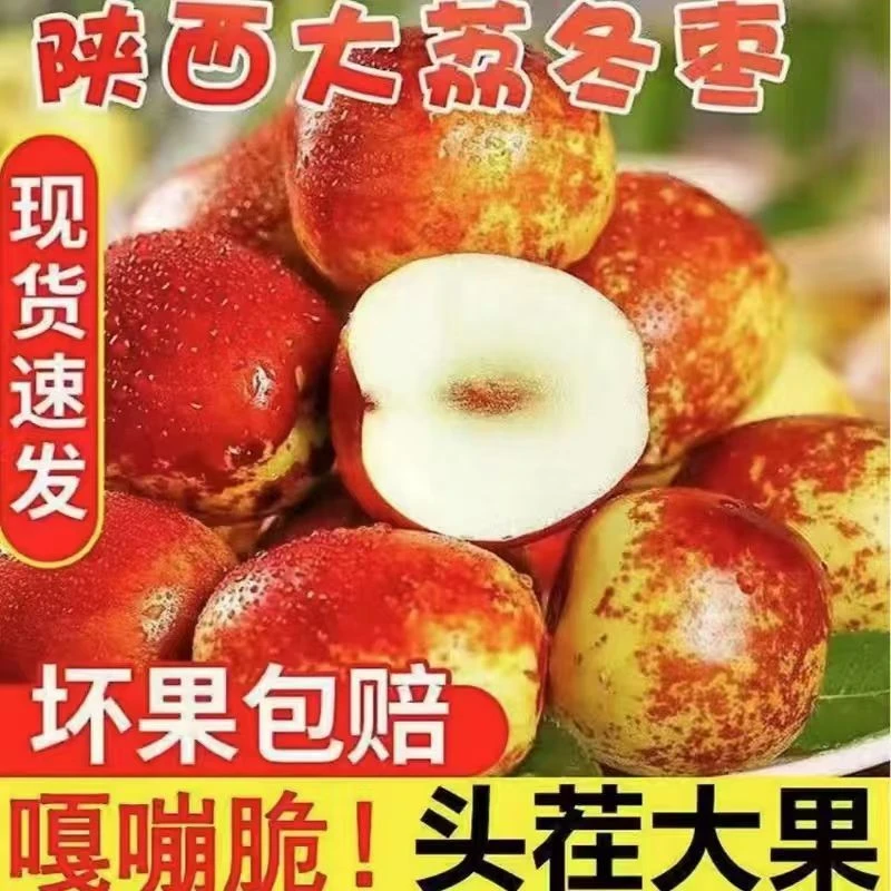 陕西大荔头茬冬枣新鲜现摘产地直发脆甜多汁当季水果