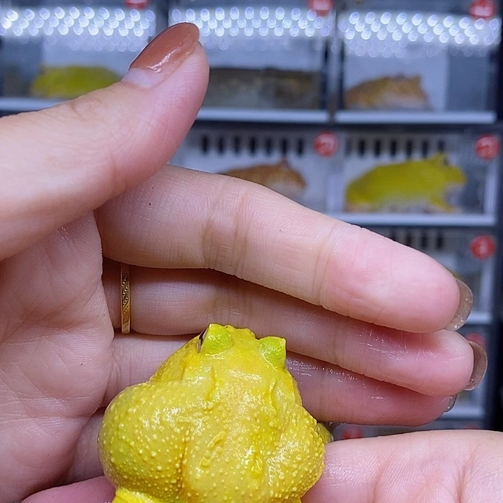 特价秒杀现货特价