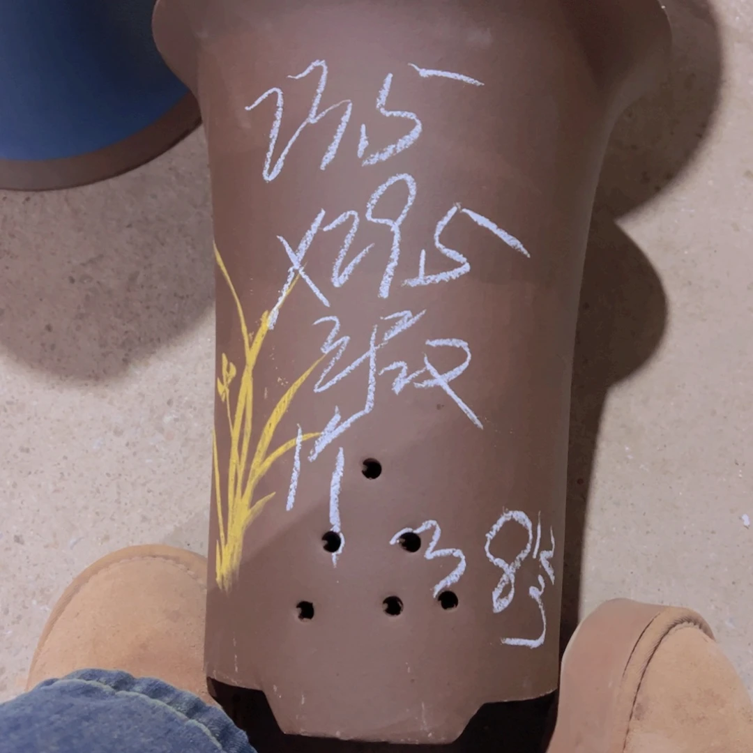 紫砂38………………………………