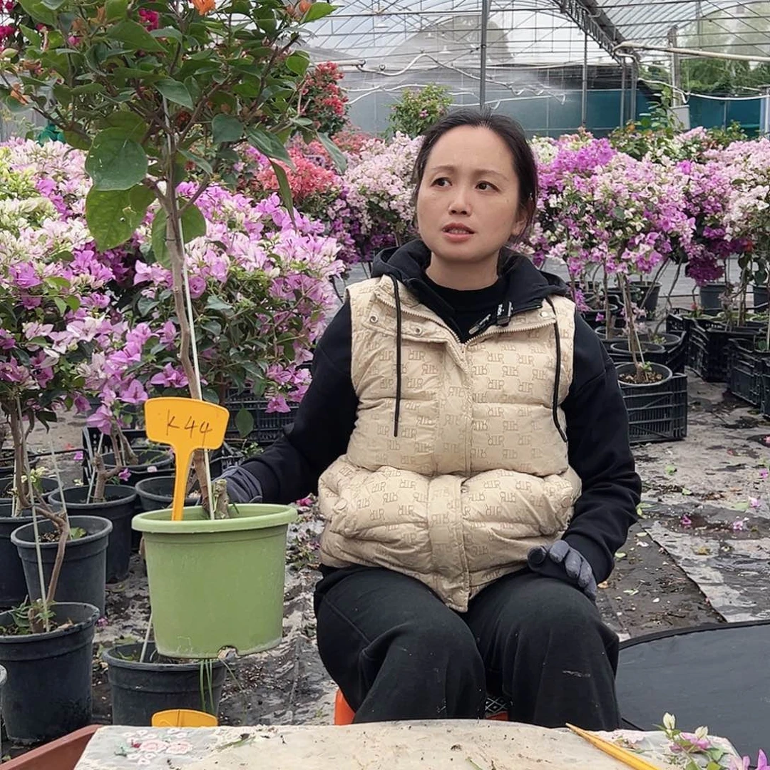 沫***沫大部分花苞少量开放K44波妹