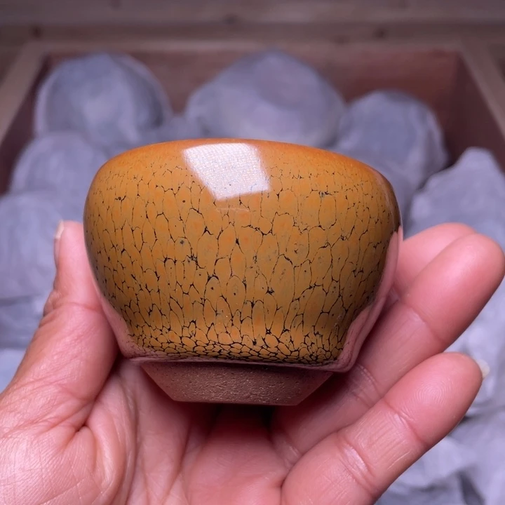 茶盏乐乐乐乐乐乐乐乐