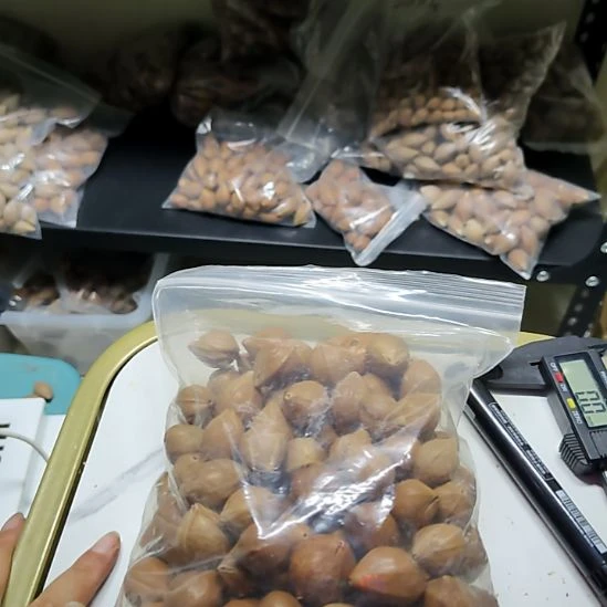 用***2吊坠橄榄核蒜头散籽