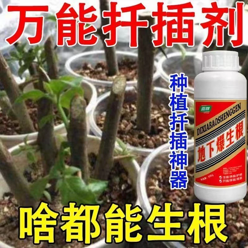 生根王快速生根剂爆根壮苗剂植物通用型生根粉花卉蔬菜果树叶面肥
