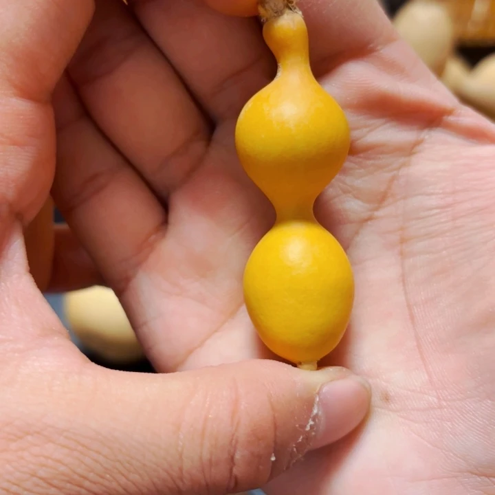 执****拉88888888888888888888