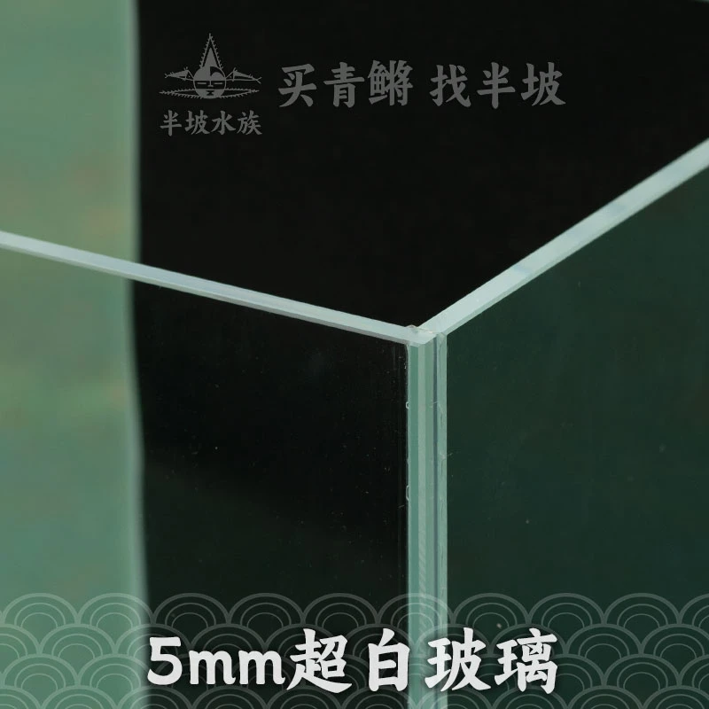 观背青鳉鱼小型观赏鱼缸超白玻璃方形鱼缸15厘米宽办公桌书桌用