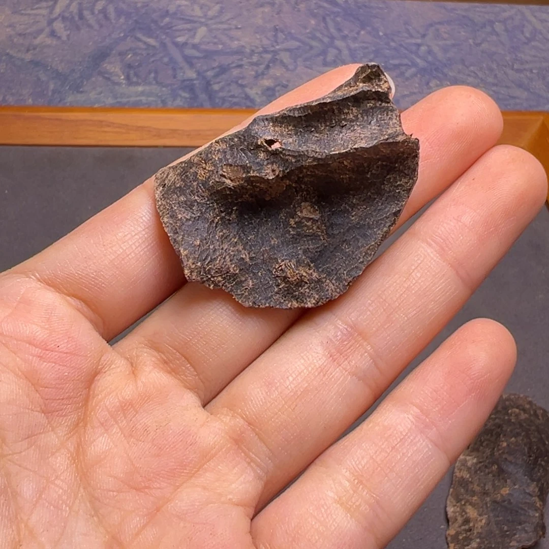 沉香沉香碎屑海南尖峰岭沉水老包头