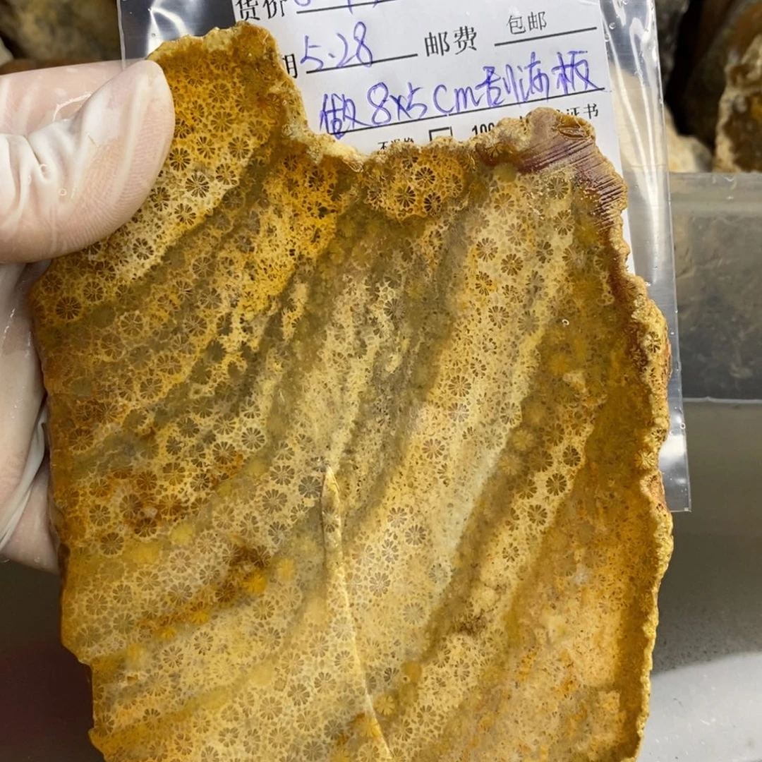 【闪购商品】硅化玉颈饰未镶嵌随**安