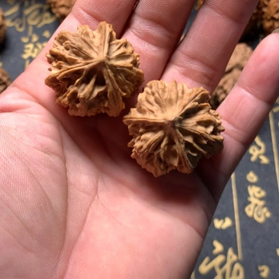 岐山三棱一对1号