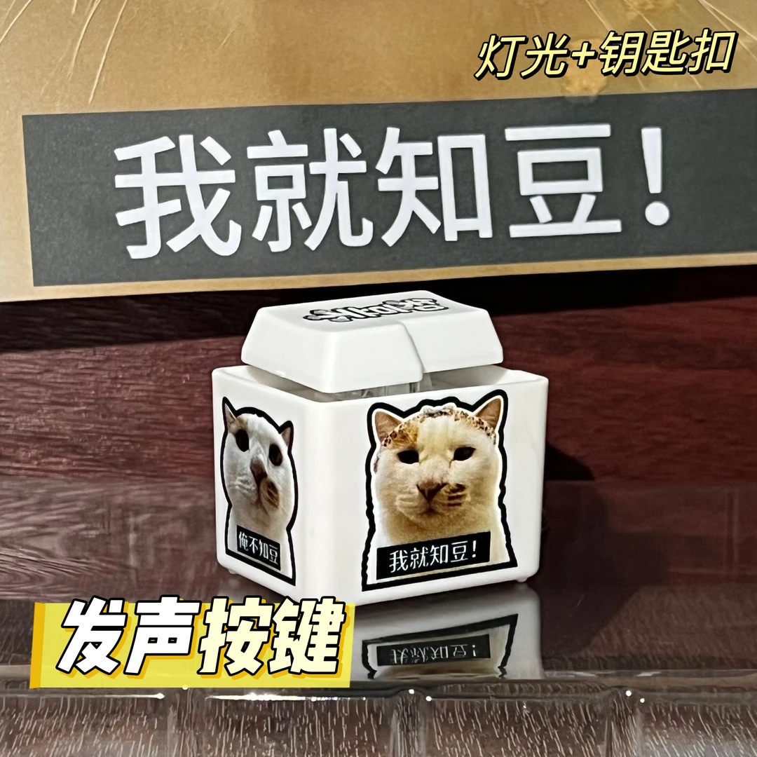 【知豆不按键】解压玩具发声发光语音按键钥匙扣礼物挂饰网红玩具