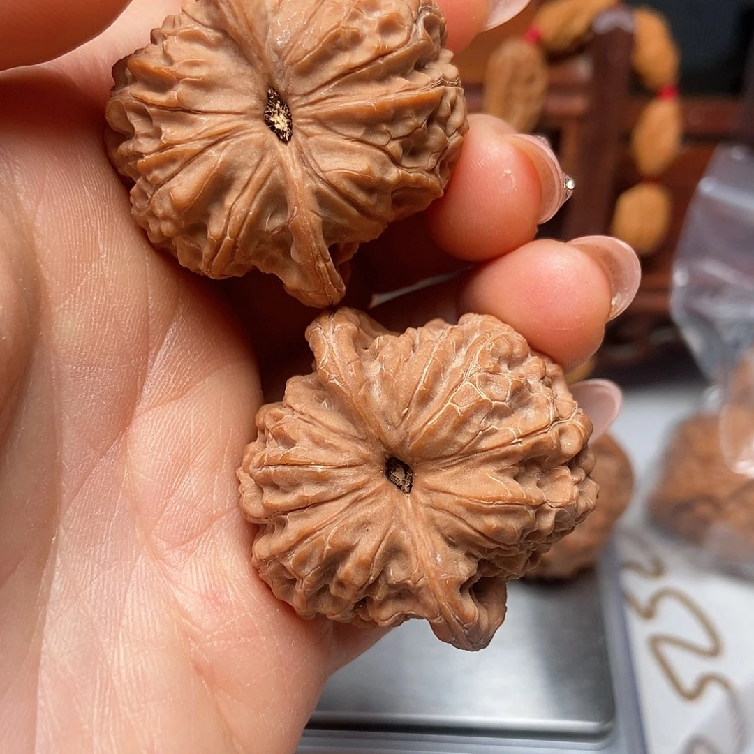 大叶紫檀（黑酸枝木类）血麒麟