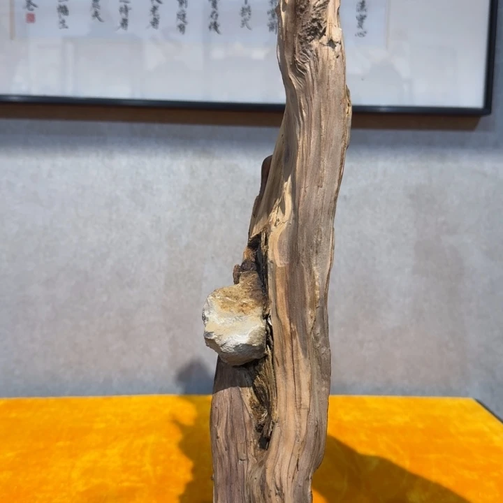 鸡翅木彬*崖柏等自然资源和