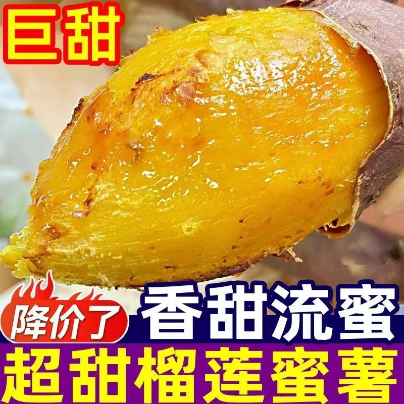 正宗一级榴莲蜜薯糖心红薯新鲜农家自种糖化番薯现挖烤地瓜5斤