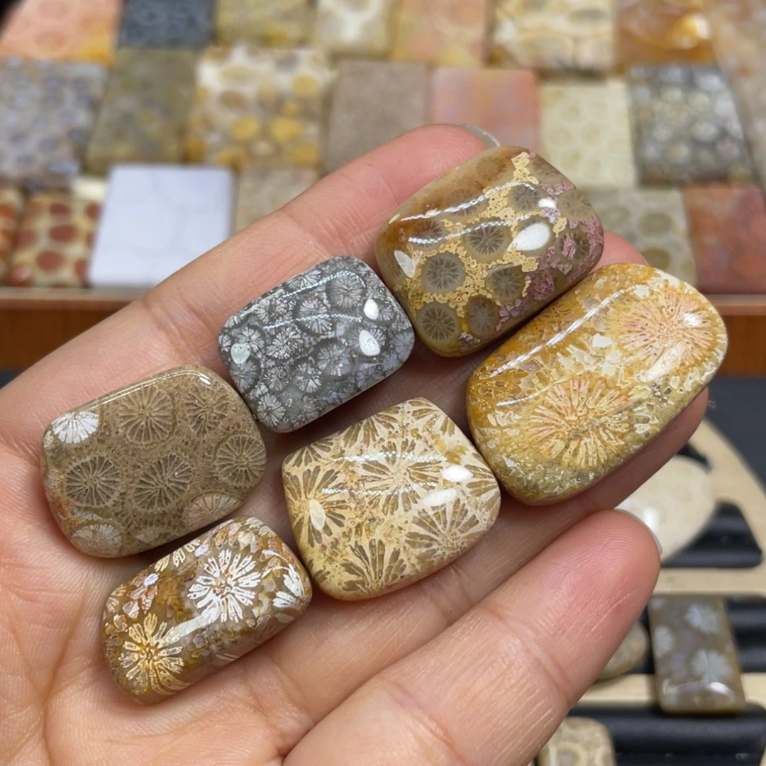 硅化玉未镶嵌颈饰一组60