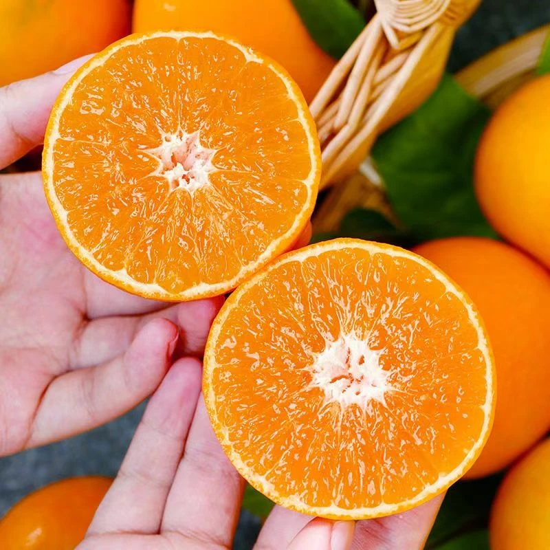 四川爱媛38号果冻橙品质果当季新鲜水果皮薄多汁香甜爆汁5斤装