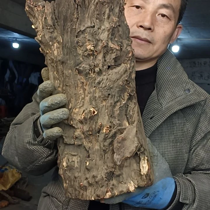 稳定木甪****甪贵州檬子木   铁马鞭   根艺  半成品