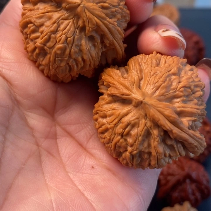 核桃白狮子一对，白茬