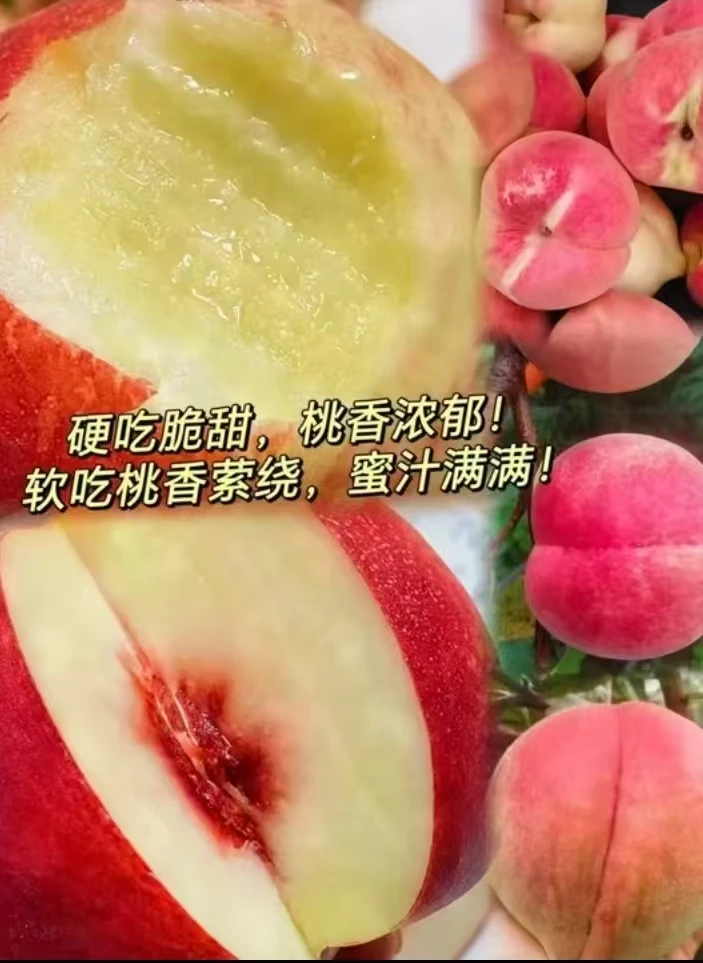 正宗云南应季高山老树冬桃现摘现发脆甜多汁树上熟桃子脆甜ya