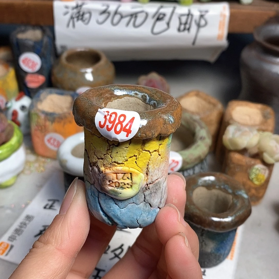 红陶神**咩拍5送一个小