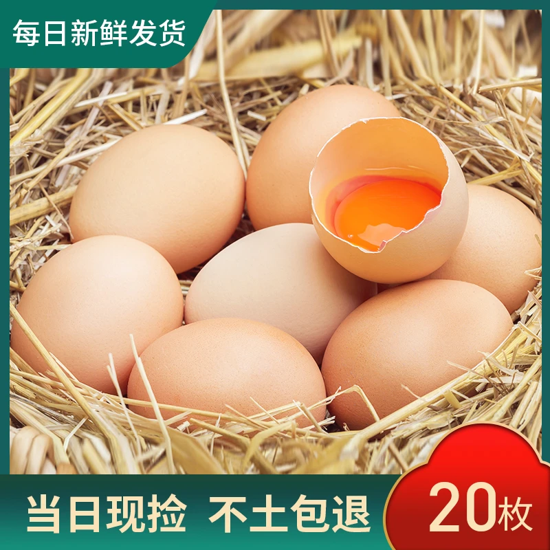 农家放养新鲜粉壳土鸡蛋 20枚净重800g