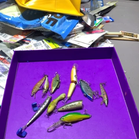 路亚饵开始拍啦哈哈