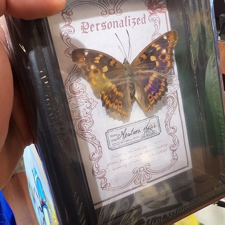 有机玻璃98779998888899