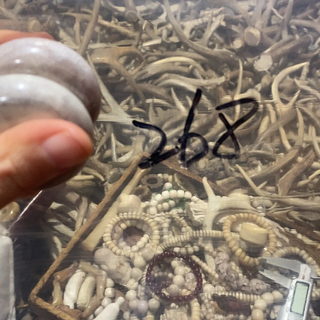 非金属鹿角鹿角鹿角