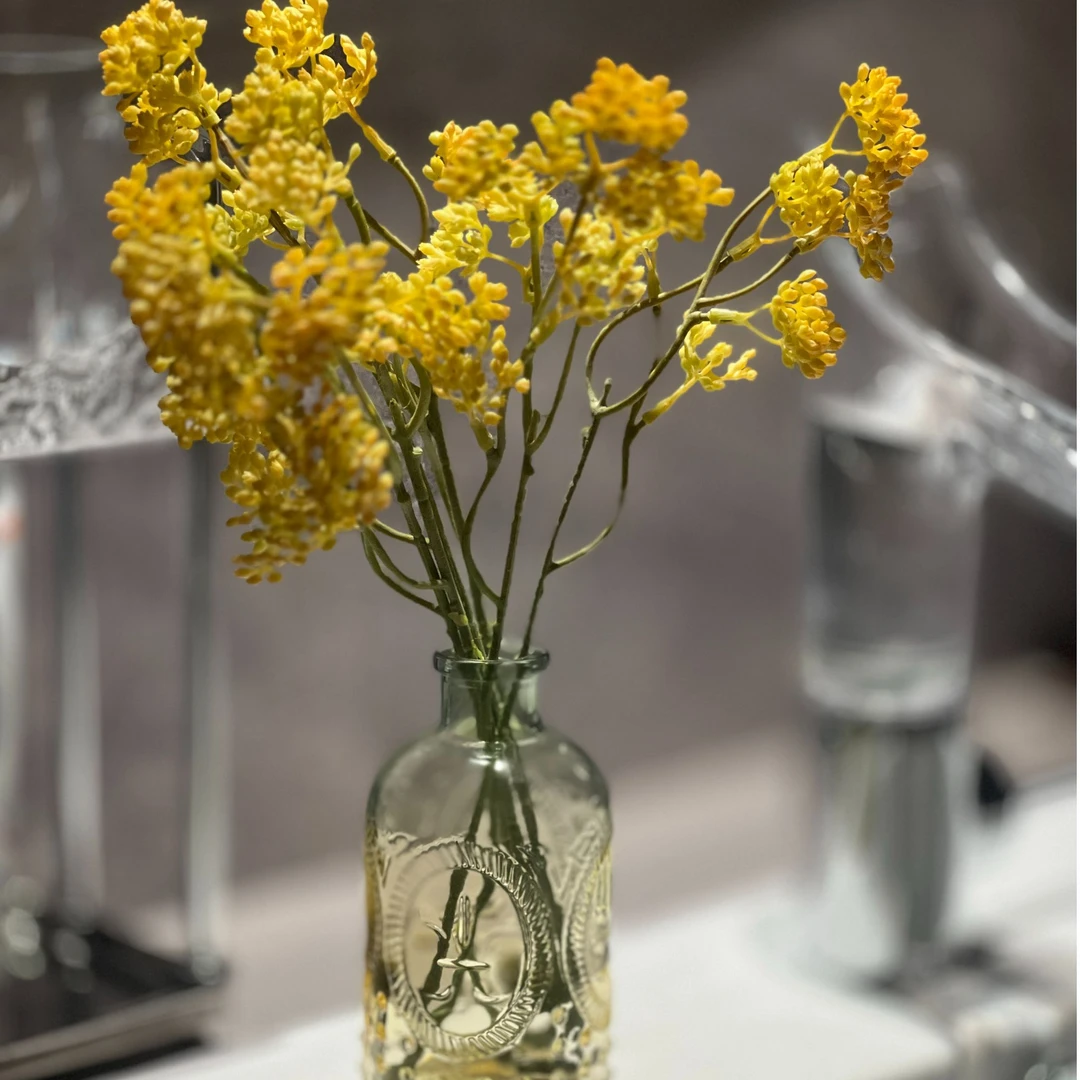 掬涵创意高级感小号玻璃花瓶ins风町铃果客厅桌面装饰品摆件【荐】