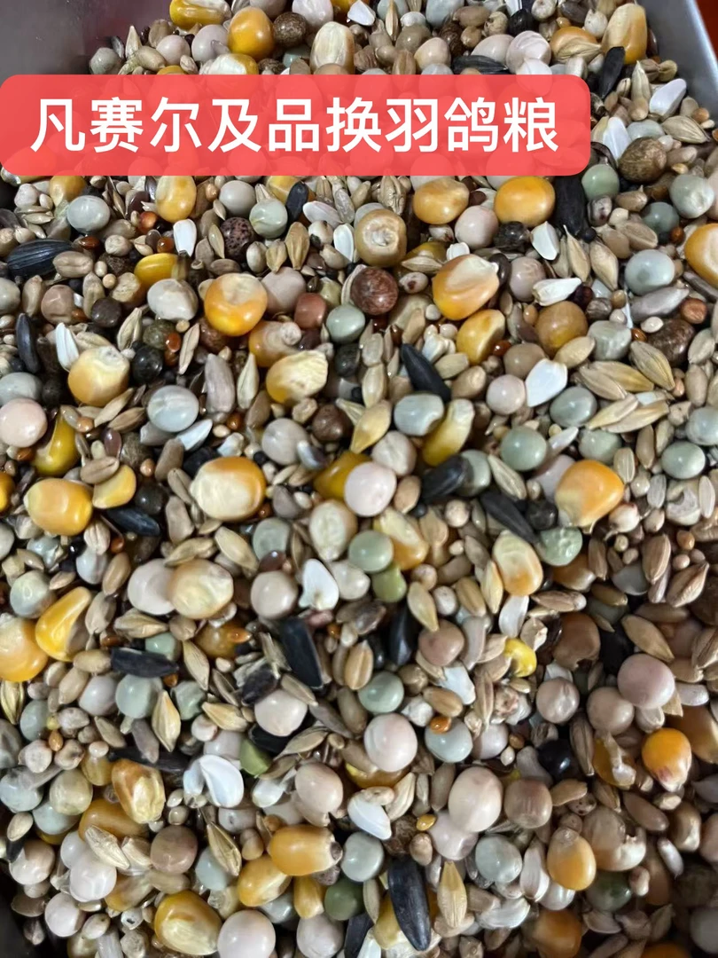 比利时凡赛尔及品换羽饲料鸽子粮鸽粮