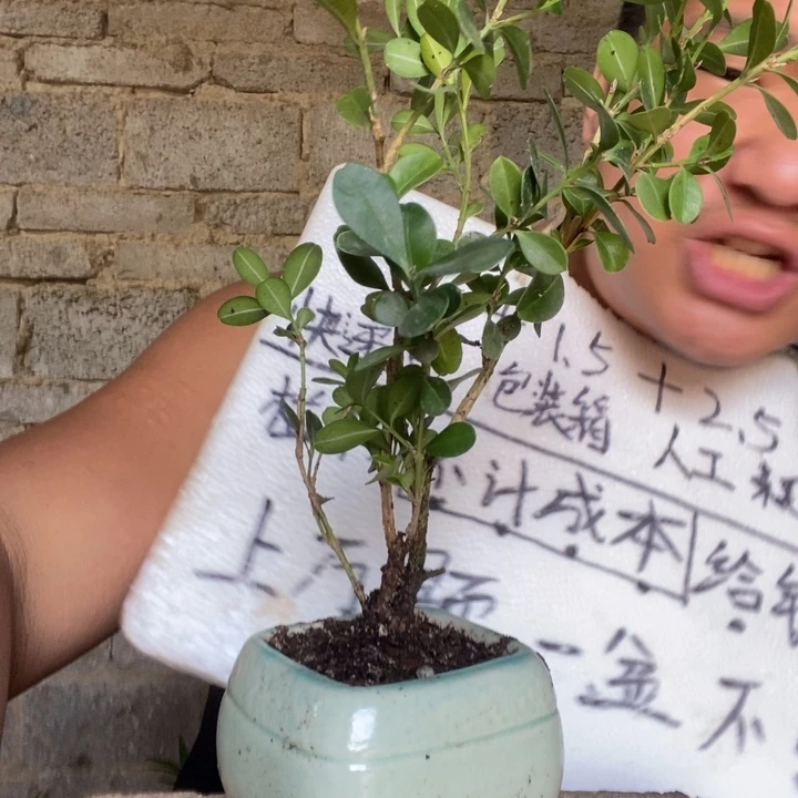 退款拉黑一物一拍19