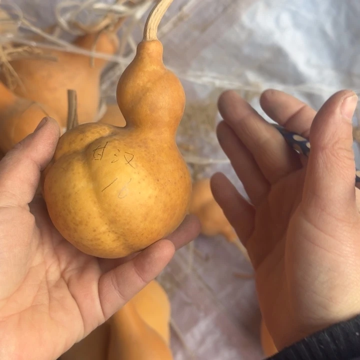 甘***汉甘汉甘汉甘汉甘汉